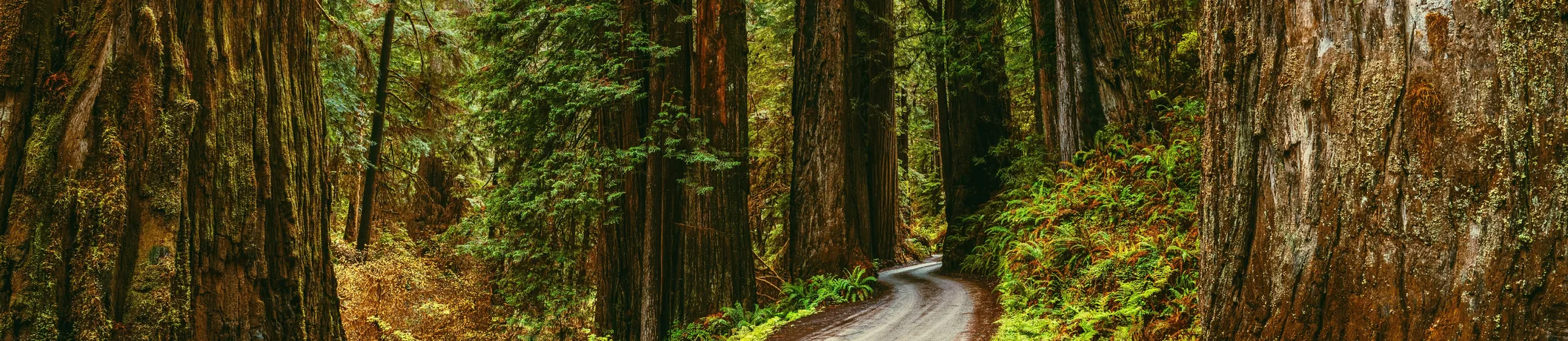 Del Norte County telehealth therapy Partnership HealthPlan California