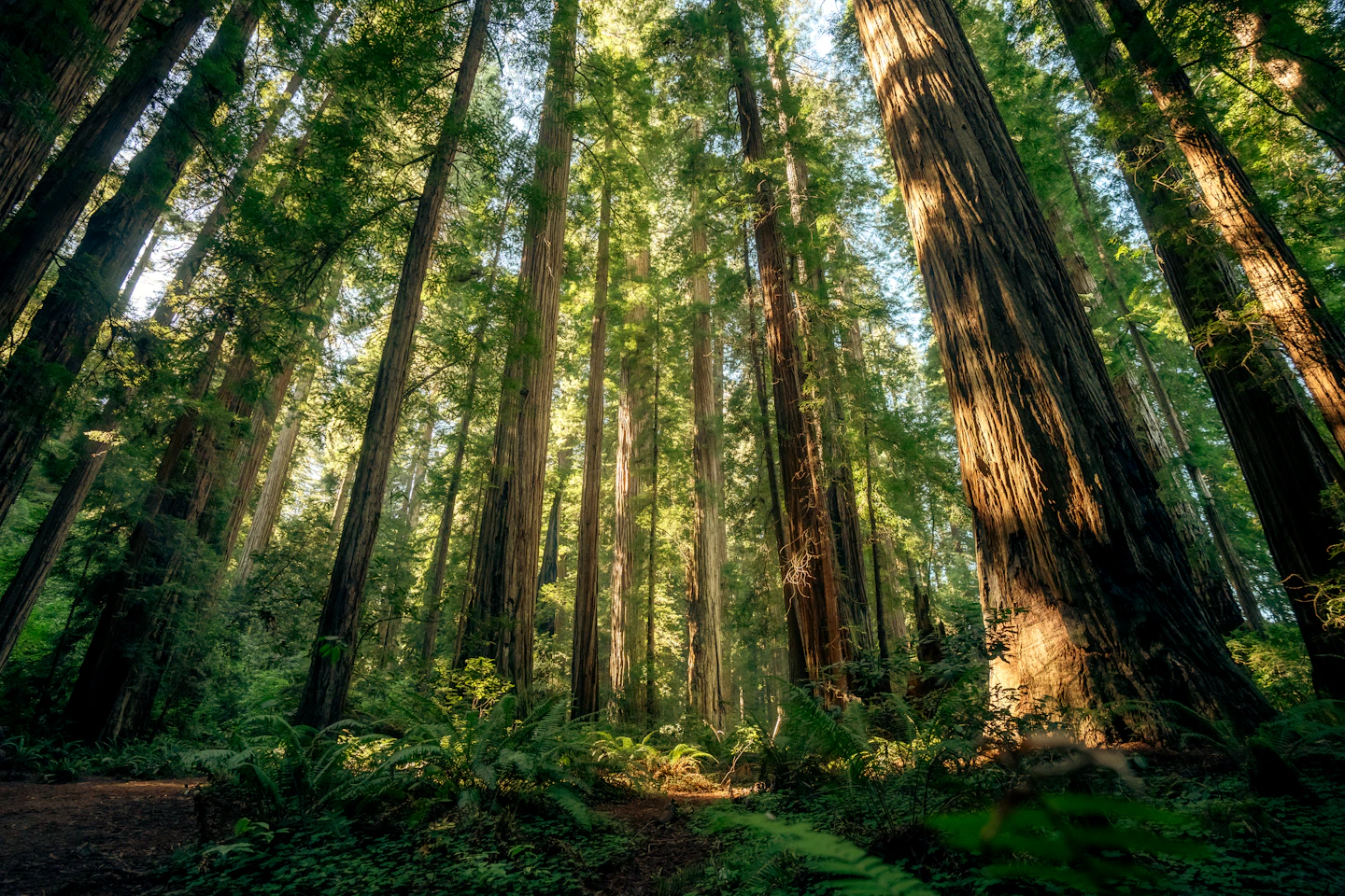 Patient education mental health resources telehealth therapy California