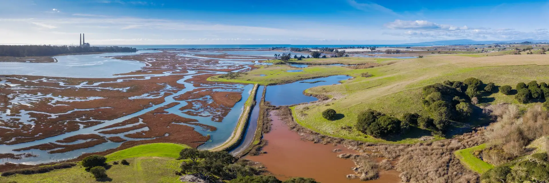 Coastal wetland and salt marsh channels leading to the ocean, banner for emotional support animal letters