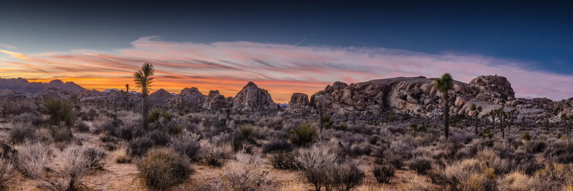 Desert sunset over rock formations and Joshua trees, banner for grief counseling by telehealth