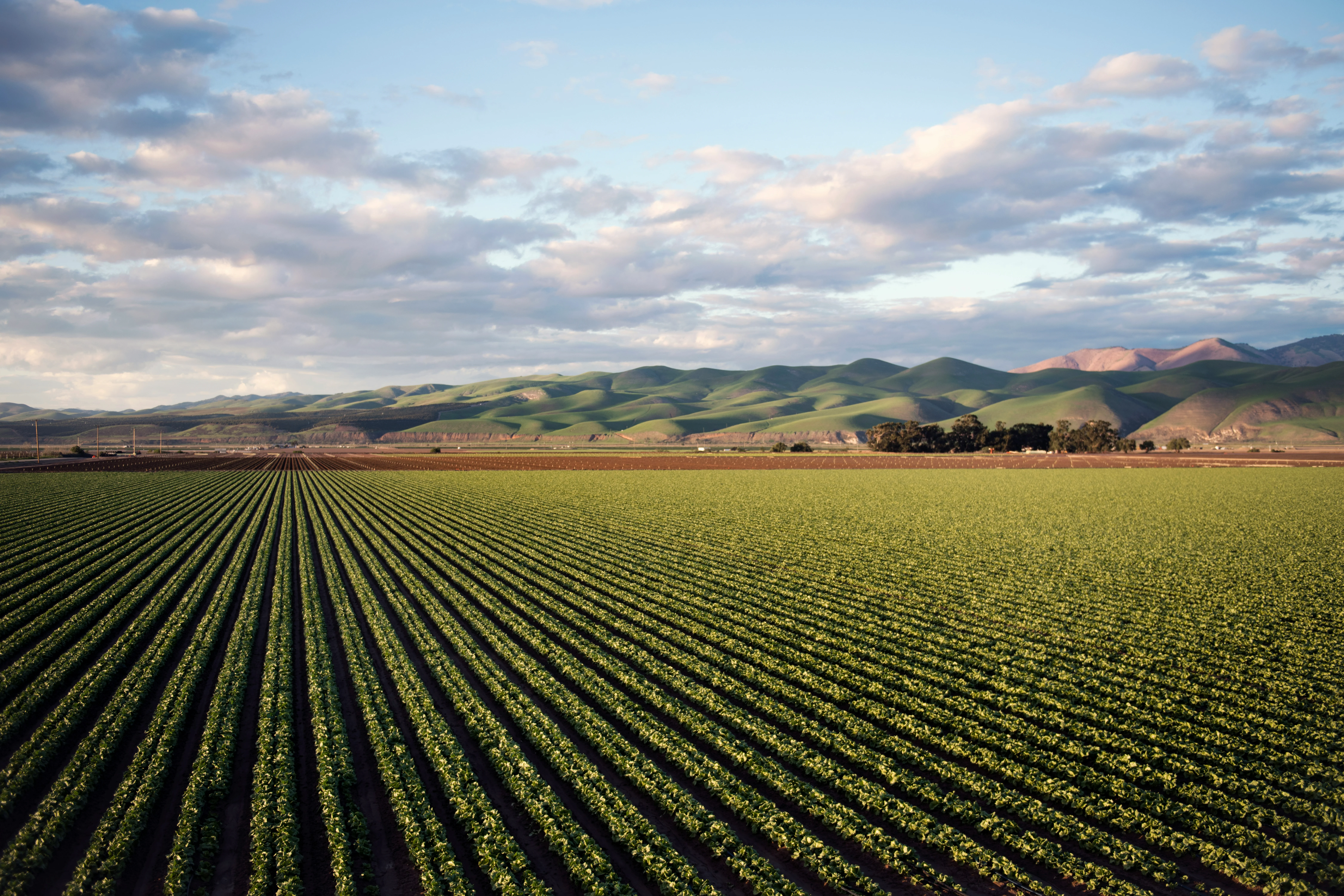 Partnership HealthPlan telehealth therapy service areas California