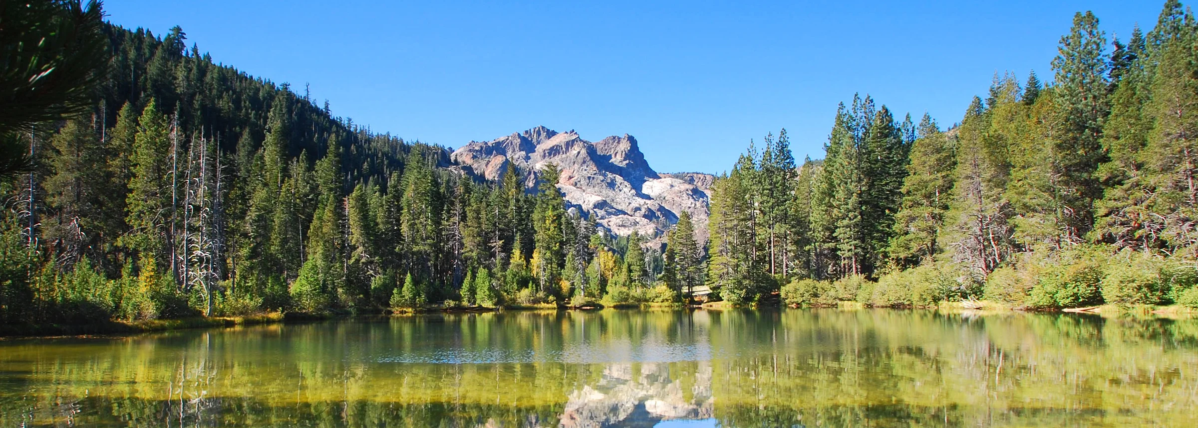 Sierra County telehealth therapy Partnership HealthPlan California
