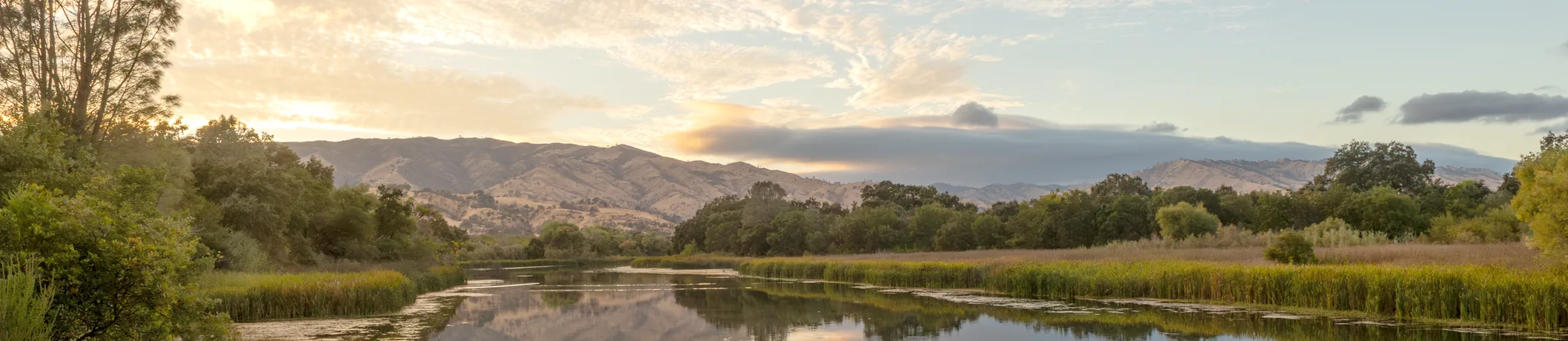 Solano County telehealth therapy Partnership HealthPlan California