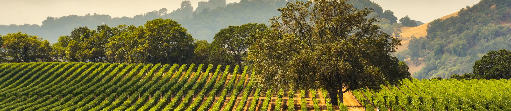 Sonoma County telehealth therapy Partnership HealthPlan California
