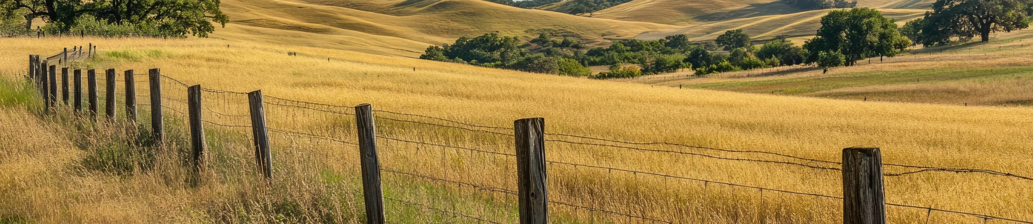 Yolo County telehealth therapy Partnership HealthPlan California